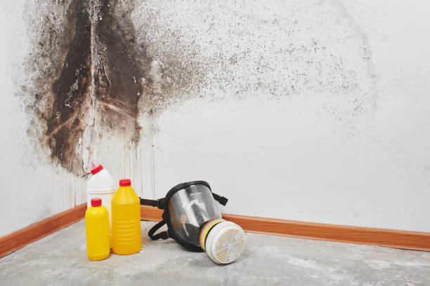 Best Water Damage Restoration  in Roberta, GA