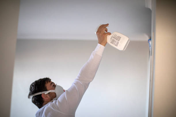 Best Residential Mold Removal  in Roberta, GA