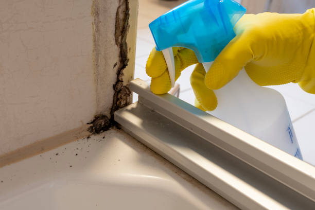 Best Crawl Space Mold Removal  in Roberta, GA