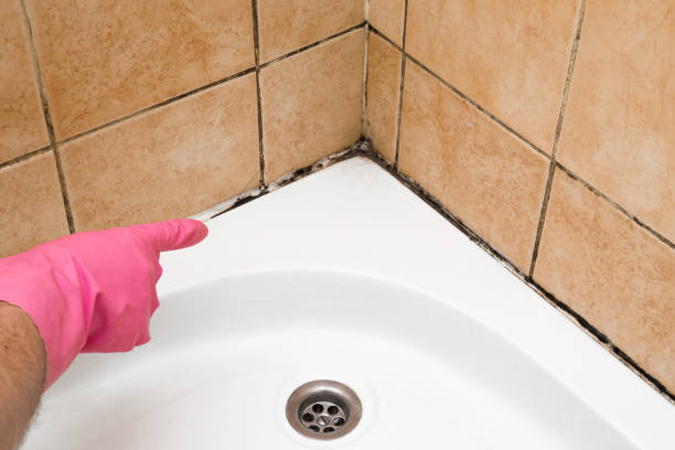 Best Mold Removal Near Me  in Roberta, GA